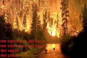 NOS CONOCEMOS